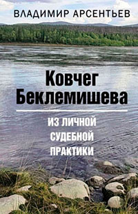 Ковчег Беклемишева. Из личной судебной практики читать онлайн